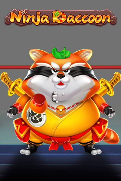Ninja Raccoon